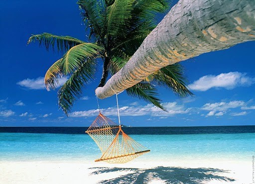 BeachHammock1 BeachHammock1