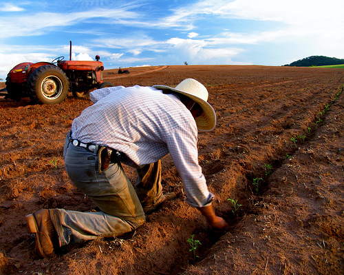 Sowing-Seeds-for-the-Future-medium Sowing-Seeds-for-the-Future-medium