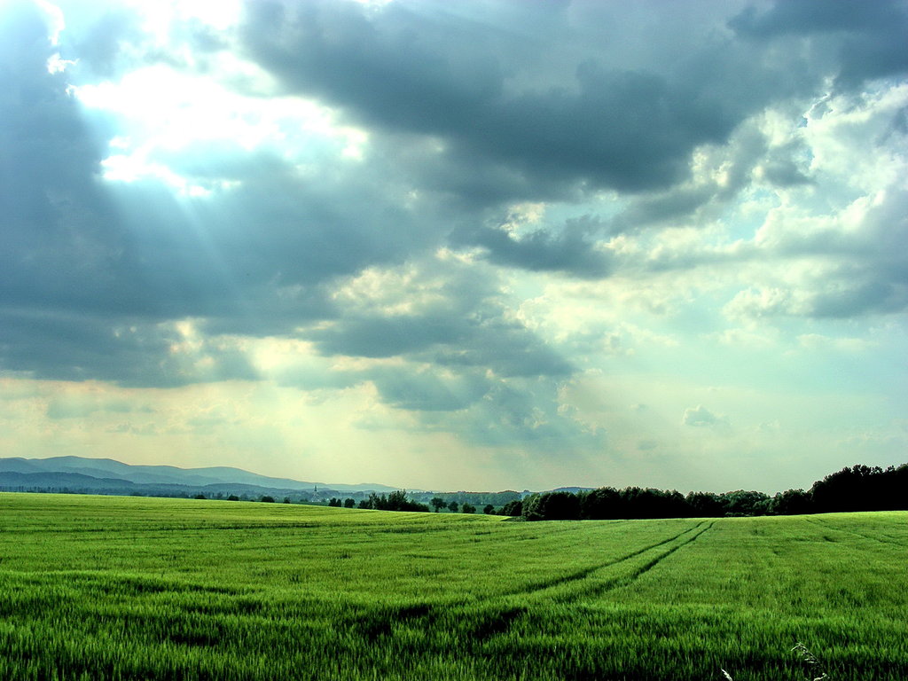 The_shining_above_green_fields_by_Pharaun333 The_shining_above_green_fields_by_Pharaun333