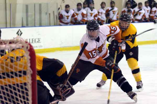 activities-ice-hockey activities-ice-hockey