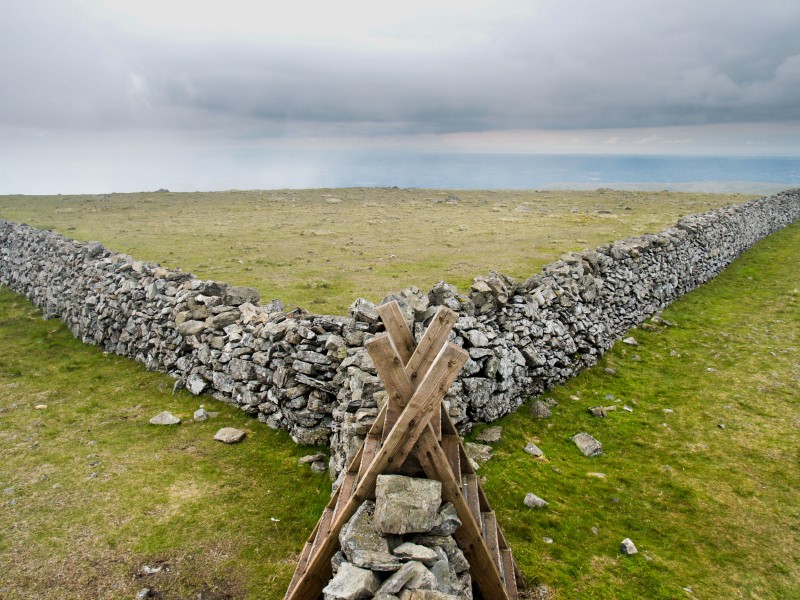 FEATURED-iStock_000009529808Small Pastoral scene with fence