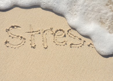 iStock_000016271480XSmall
