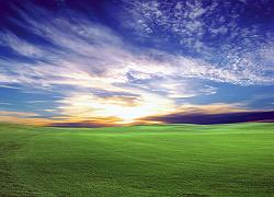 sunsetgrass-crop sunsetgrass-crop